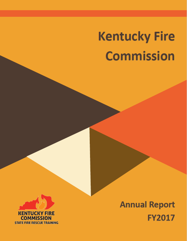 fy2017 annual report