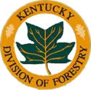 forestry patch photo